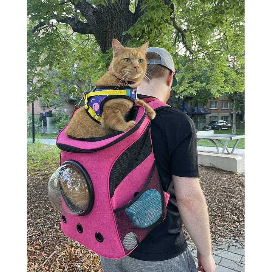 Cat Backpack V10184