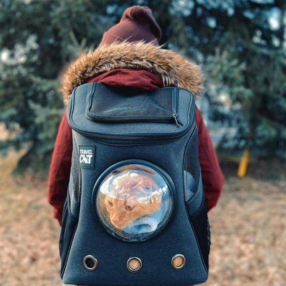Cat Backpack V10184