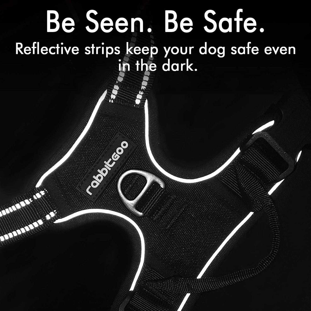 Adjustable Soft Padded Dog Harness with 2 Leash Clips N569336