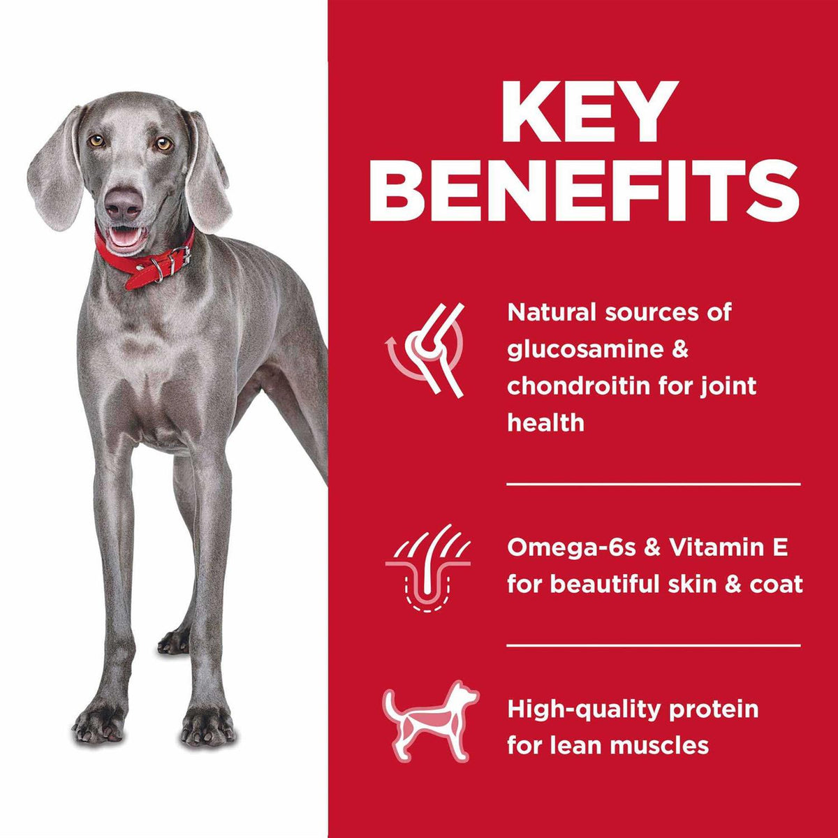 Adult Large Breed No Grain Chicken Dog Food 14 kg S246