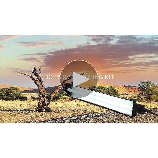 T5 HO UVB Lighting Combo Kit E72442