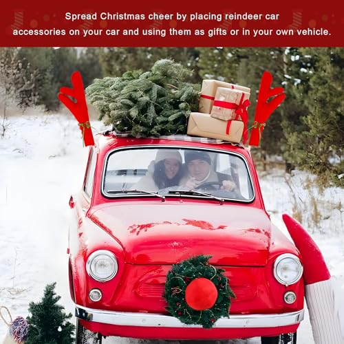 Reindeer Car Decoration Kit with Nose & Antlers Z54569