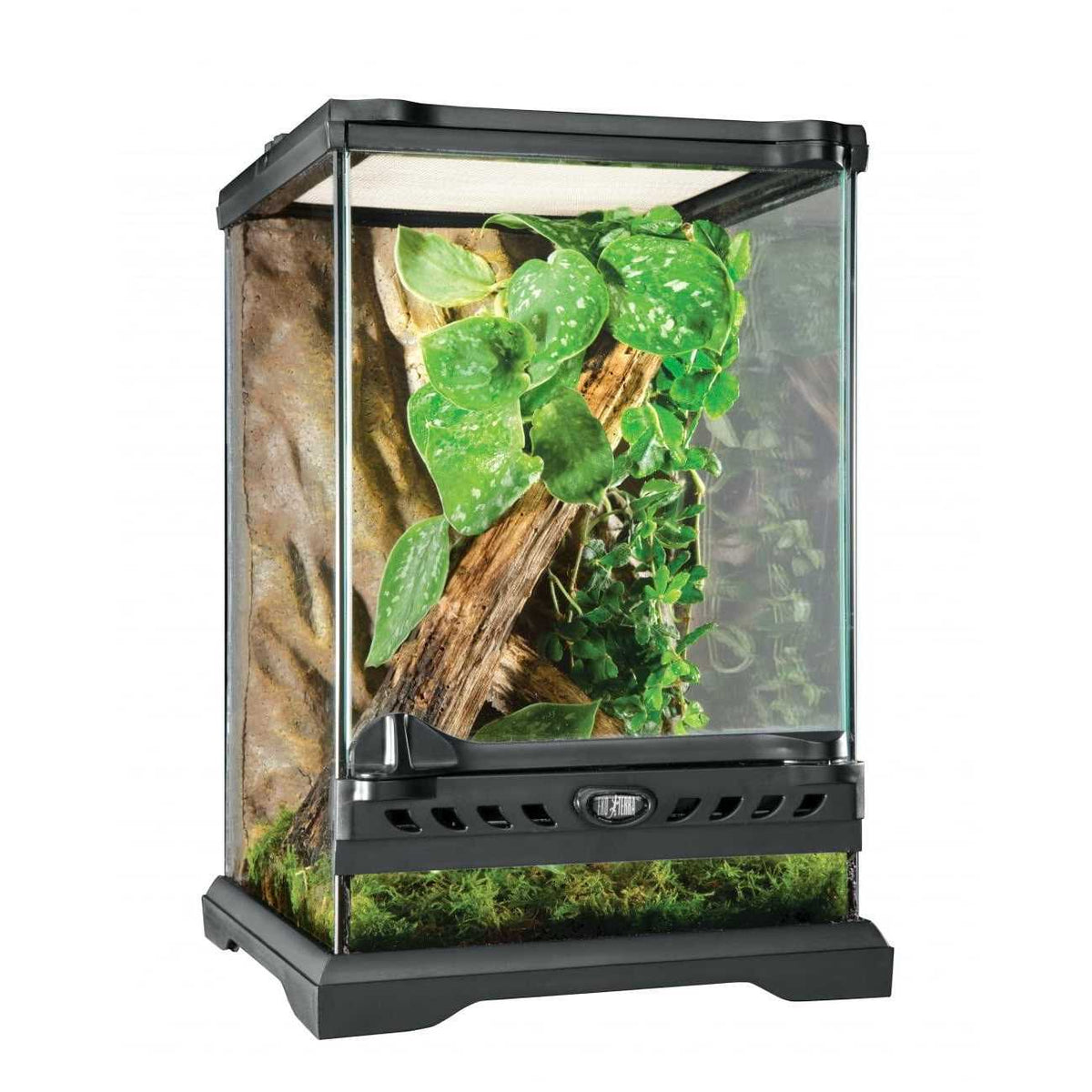 Glass Terrarium Y1663