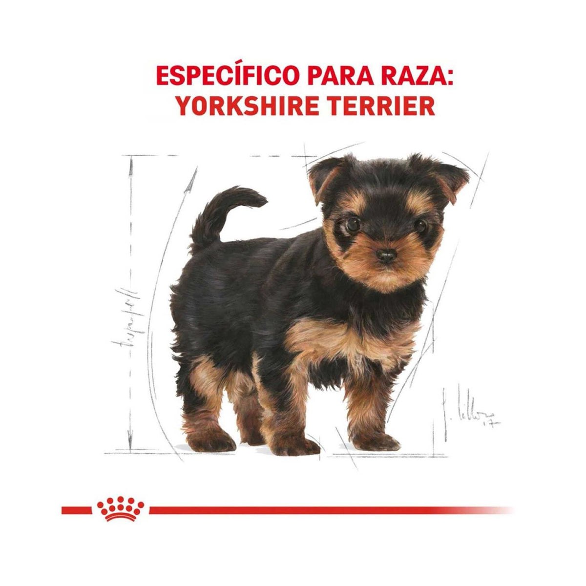 Dry Dog Food Z315