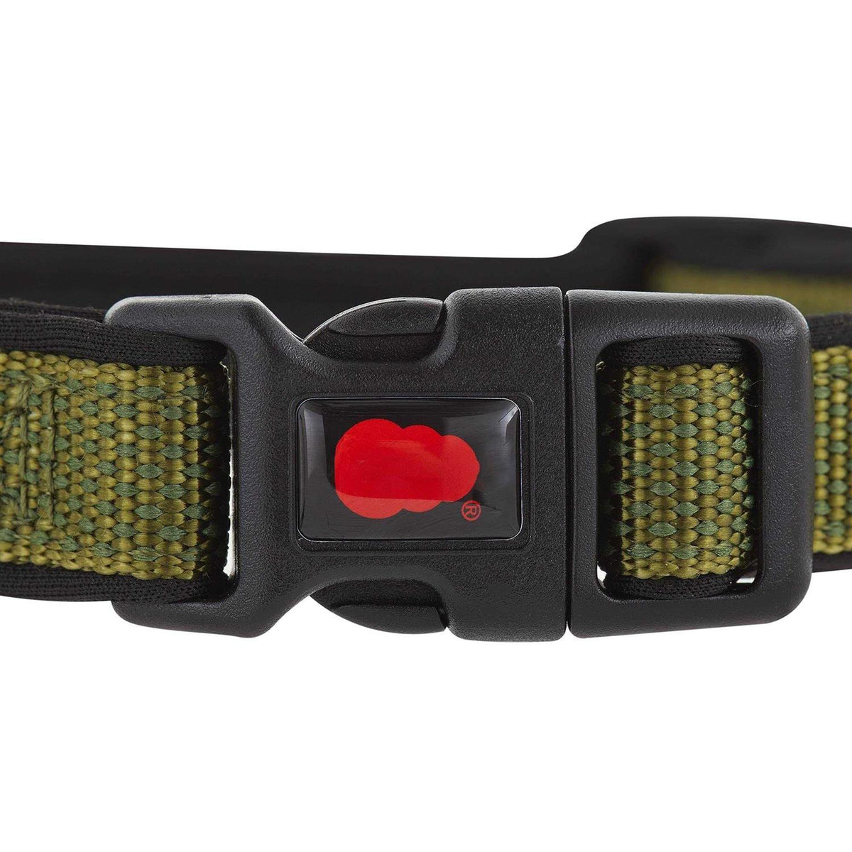 Neoprene Padded Dog Collar V792817