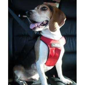 Pet Supplies O6562