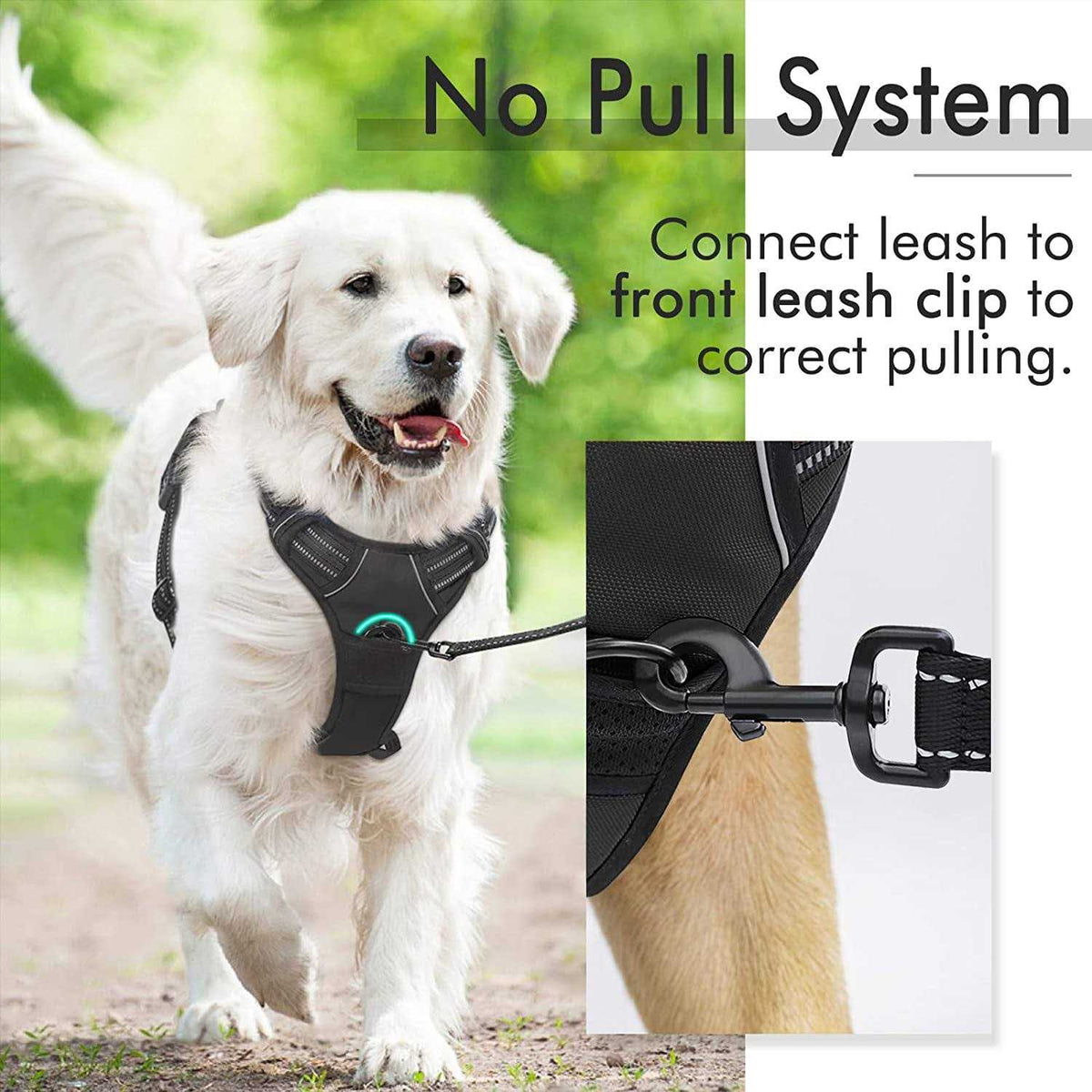 Adjustable Soft Padded Dog Harness with 2 Leash Clips N569336