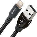 Carbon USB A-Lightning 0.75 M Cable P274