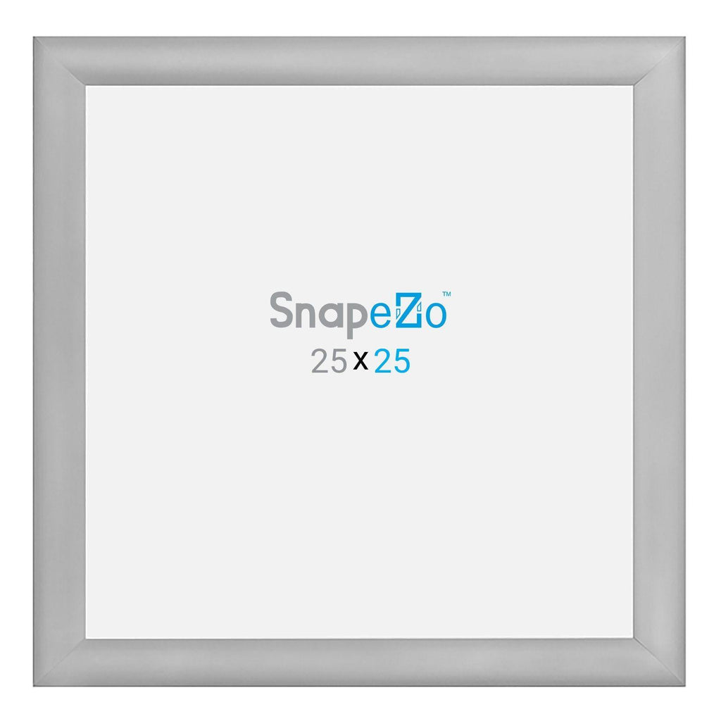 25x25 Silver Snap Frame R5300