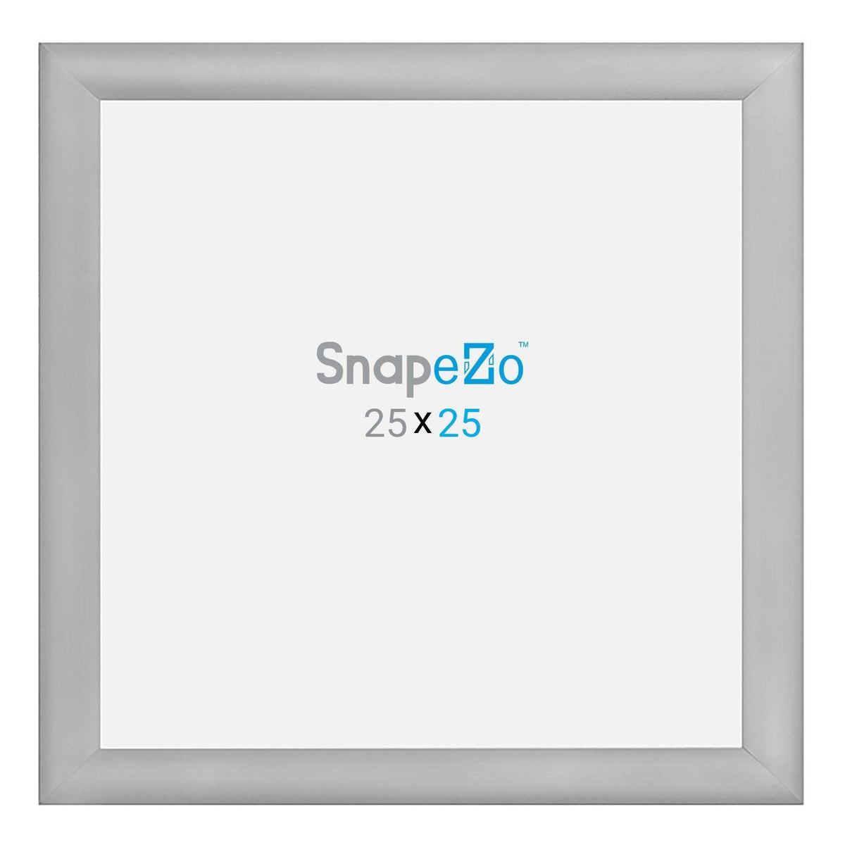 25x25 Silver Snap Frame R5300