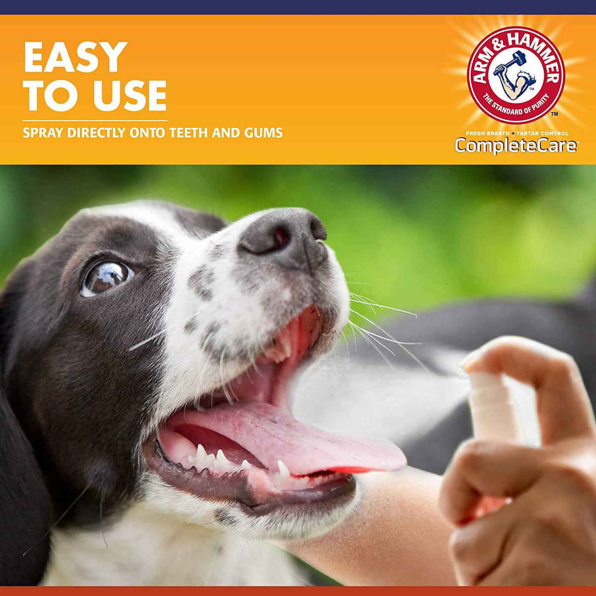 Dog Dental Spray J8547