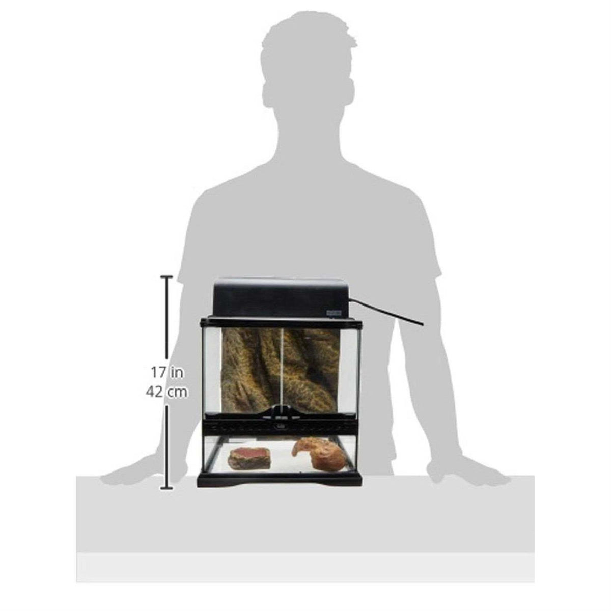 Glass Terrarium Y1663