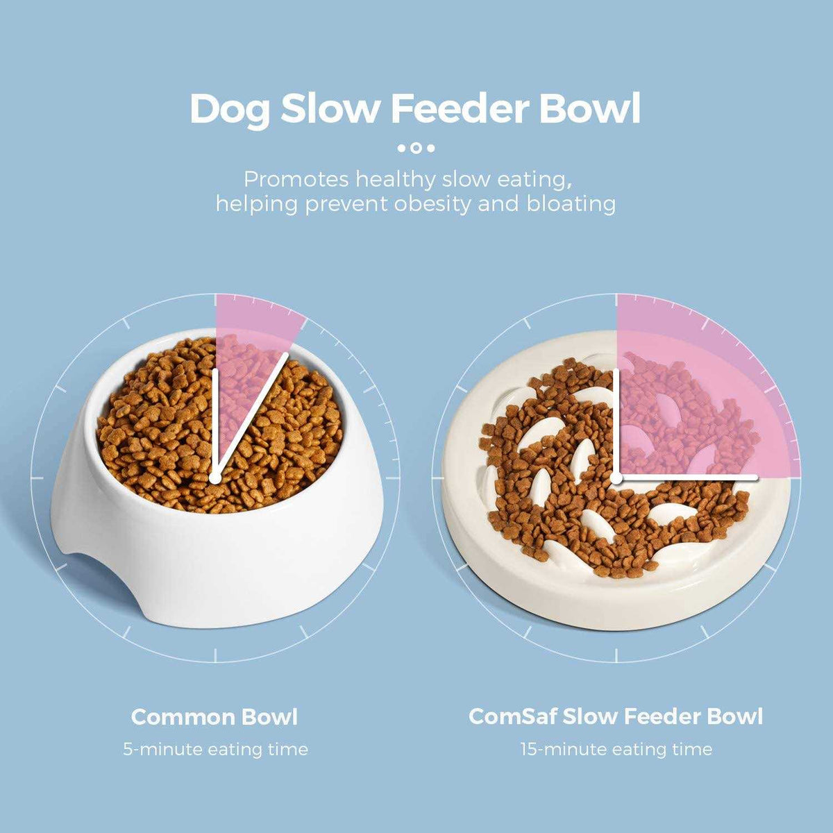 Slow Feeder Bowl for Cats and Small Dogs X2420