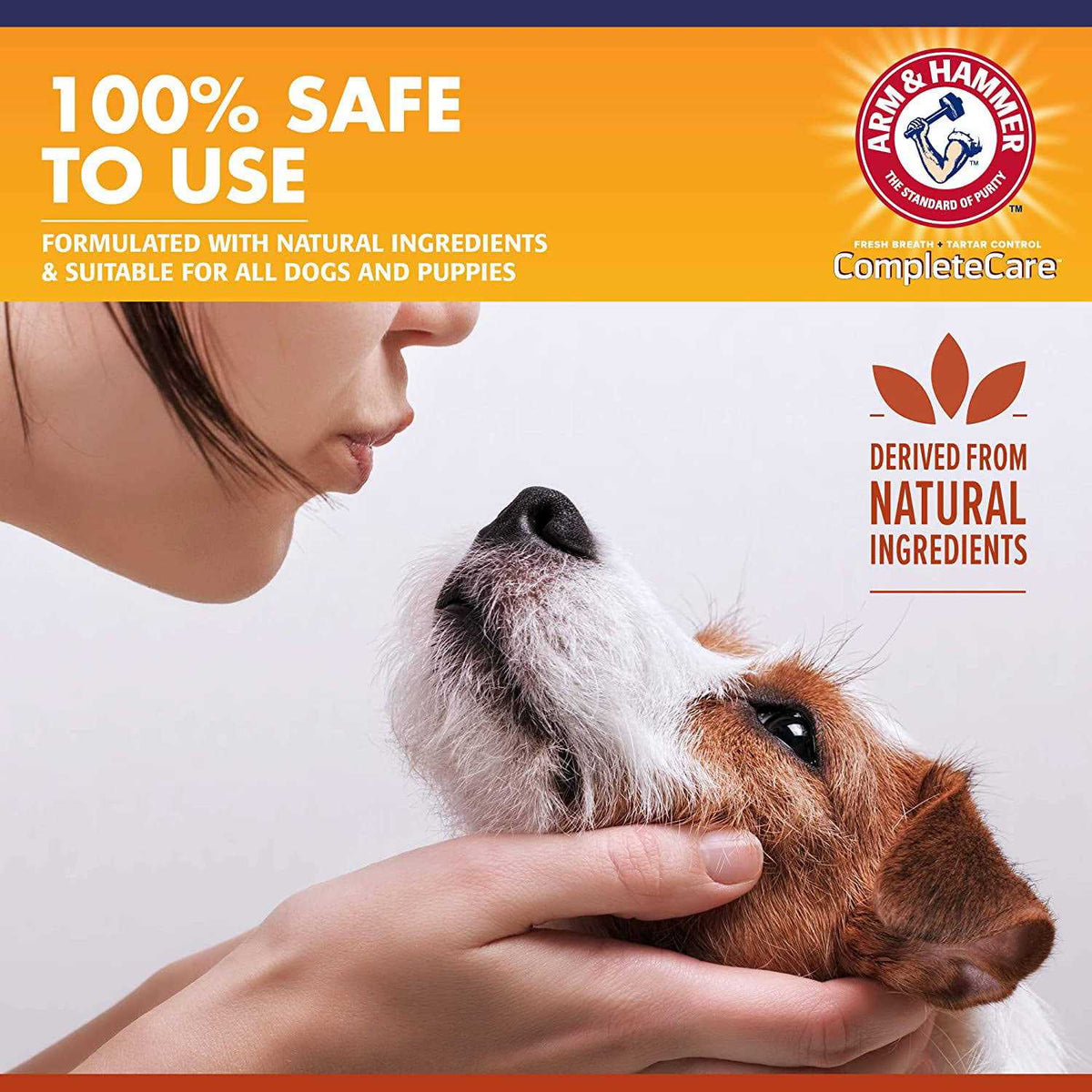 Dog Dental Spray J8547