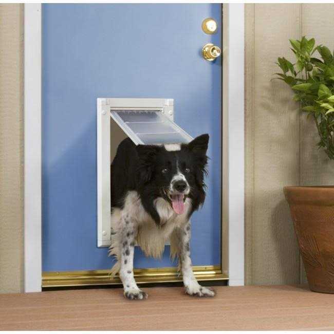 Double Flap Pet Door L931982