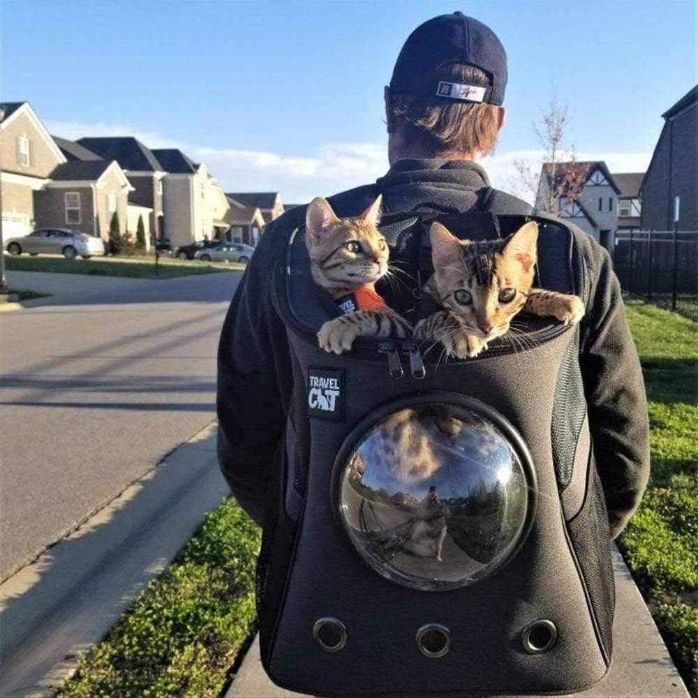 Cat Backpack V10184